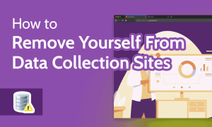 Read more about the article How to Remove Yourself From Data Collection Sites in 2022