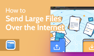 Read more about the article How to Send Large Files in 2022 [Three Best Free Options]