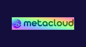Read more about the article What goes in a metacloud?