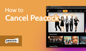 Read more about the article How to Cancel Peacock TV in 2022 [Canceling Peacock Premium]
