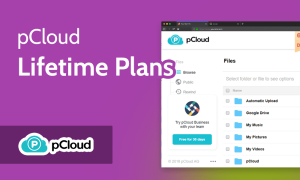 Read more about the article What Is pCloud Lifetime & How Does It Work? [Worth It in 2022?]