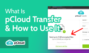 Read more about the article What Is pCloud Transfer & How Does it Work in 2022