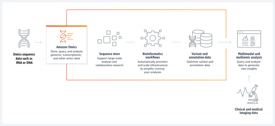 Read more about the article Amazon Omics aims to optimize biological data analysis at scale