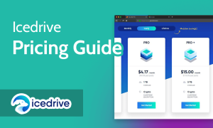 Read more about the article Icedrive Pricing Guide 2022 [Cloud Storage Value Comparison]