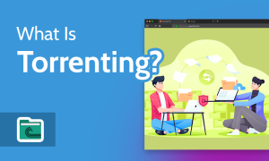Read more about the article What Is Torrenting? [A 2022 Guide to How Torrents Work]