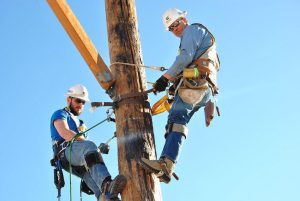 Read more about the article Utilities Coalition Warns Against Shifting Cost of Replacing Poles