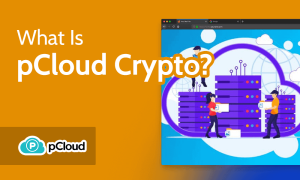 Read more about the article What Is pCloud Crypto & How It Works [2023 Encryption Guide]