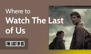 Read more about the article Where to Watch The Last of Us in 2023 [Watch Anywhere]
