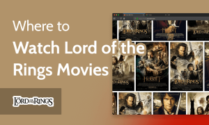 Read more about the article How & Where to Watch Lord of the Rings Movies From Anywhere
